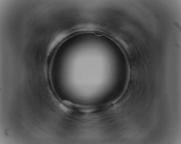 X0000097781464200803071338