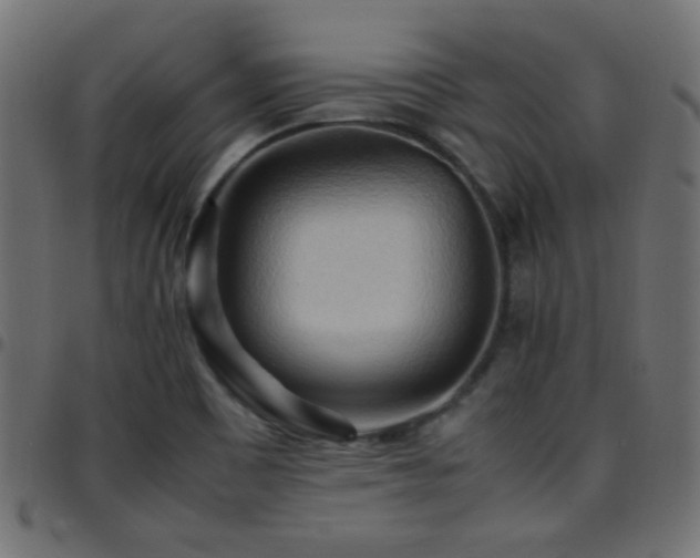 X0000097781465200803071338
