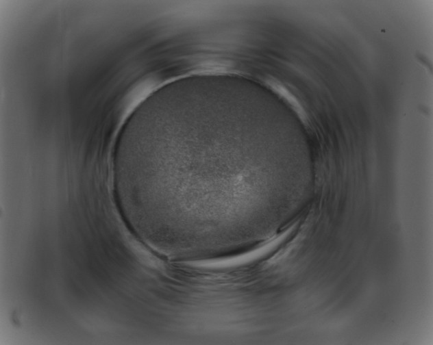 X0000097781467200803071338
