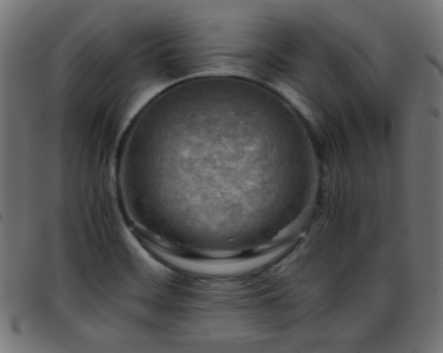 X0000097781468200803071338