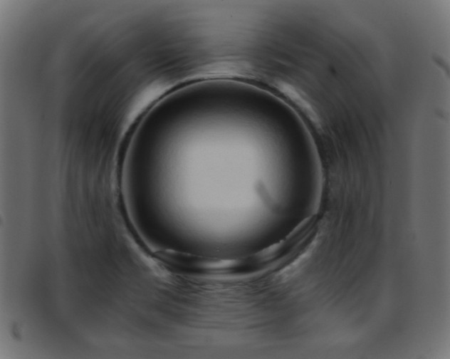 X0000097781469200803071338