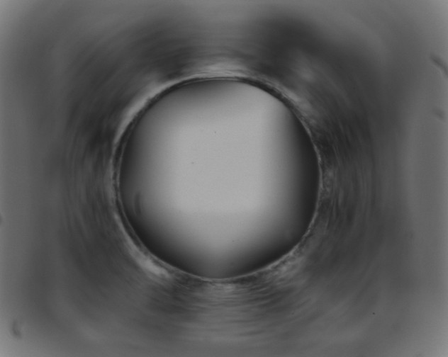X0000097781470200803071338