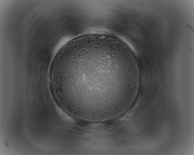 X0000097781471200803071338