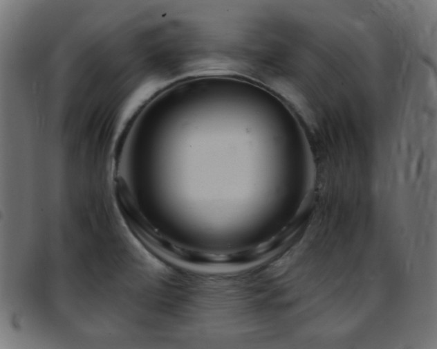 X0000097781472200803071338
