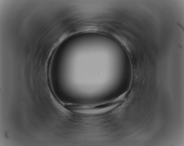 X0000097781475200803071338