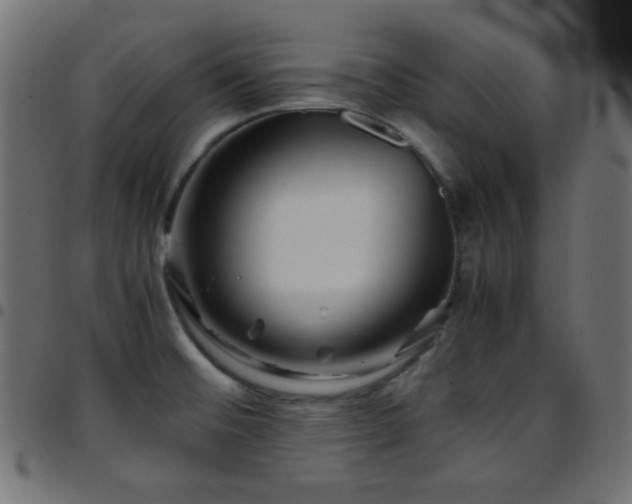 X0000097781476200803071338