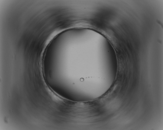 X0000097781478200803071338