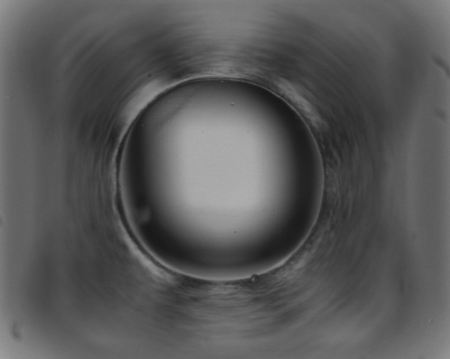 X0000097781479200803071338
