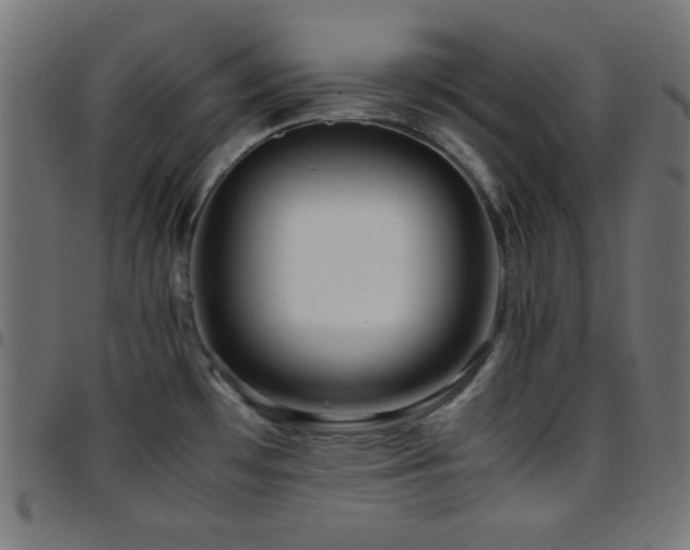 X0000097781481200803071338