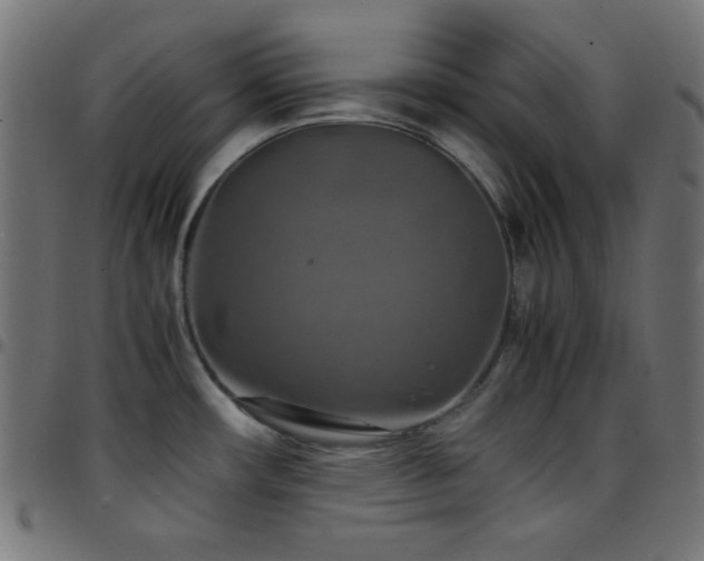 X0000097781482200803071338
