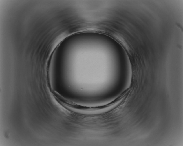 X0000097781483200803071338