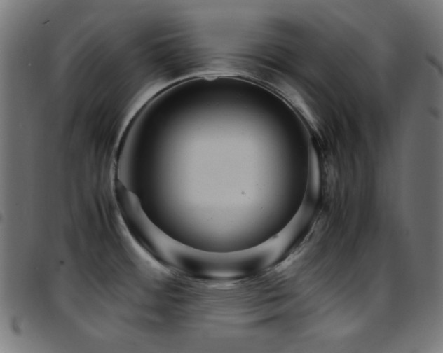 X0000097781484200803071338