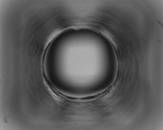 X0000097781485200803071338