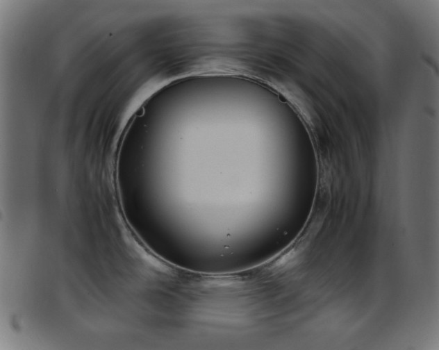 X0000097781486200803071338