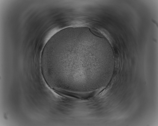 X0000097781487200803071338