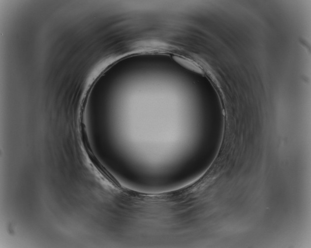 X0000097781488200803071338