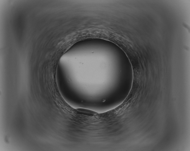 X0000097781489200803071337