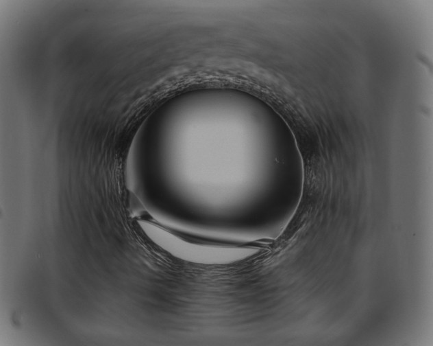 X0000097781490200803071337