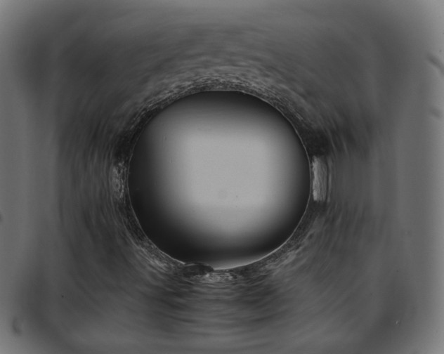 X0000097781491200803071337