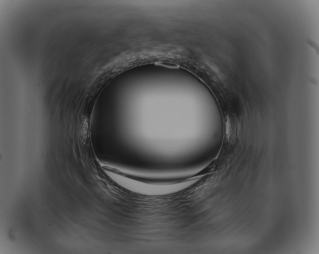 X0000097781492200803071337
