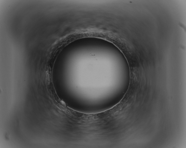 X0000097781493200803071337