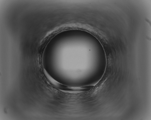 X0000097781494200803071337
