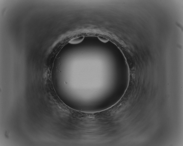 X0000097781495200803071337
