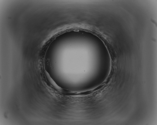 X0000097781496200803071337