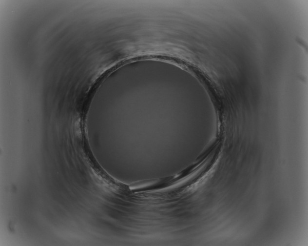 X0000097781497200803071337
