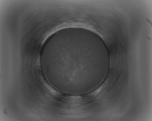 X0000097781498200803071338