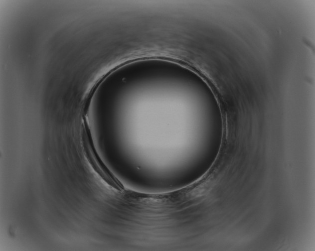 X0000097781500200803071338