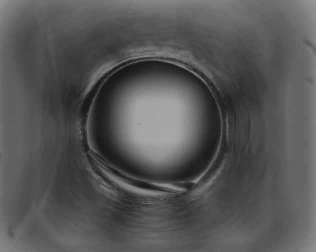 X0000097781501200803071338