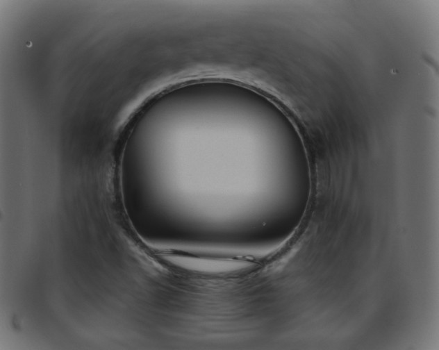 X0000097781502200803071338