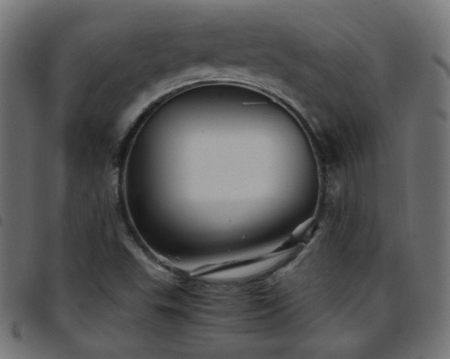 X0000097781503200803071338