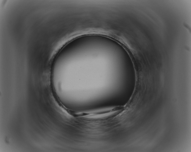 X0000097781504200803071338