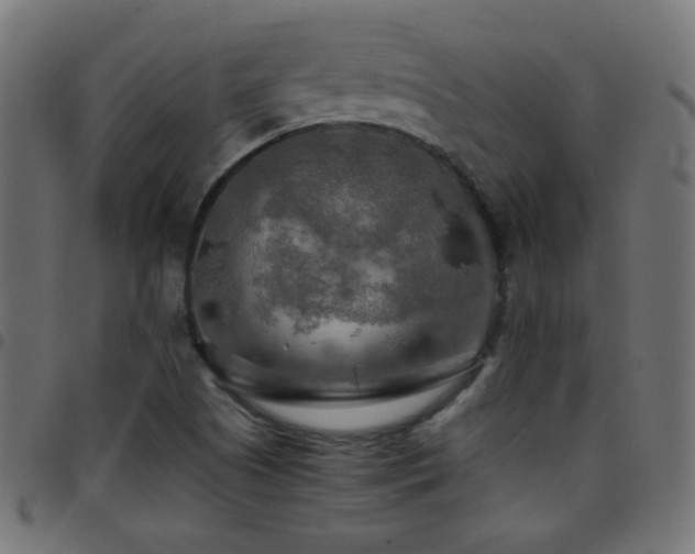 X0000097781505200803071338