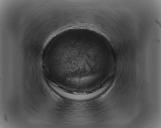 X0000097781506200803071338