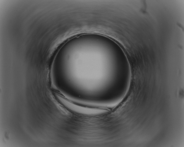 X0000097781507200803071338