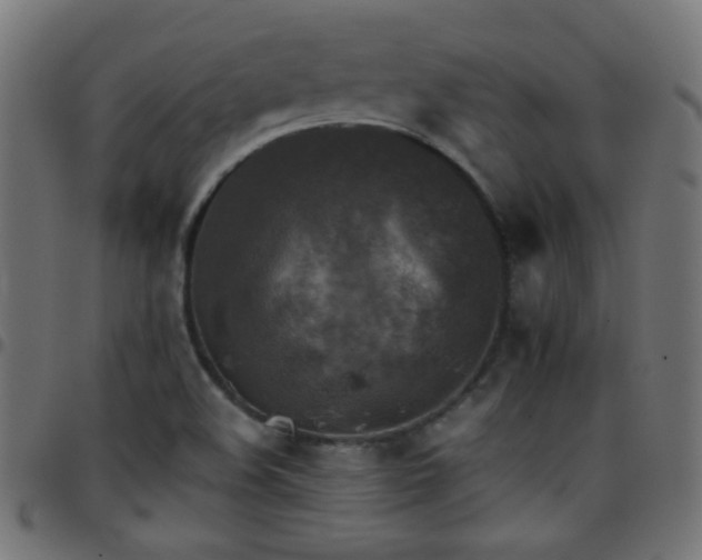 X0000097781508200803071338