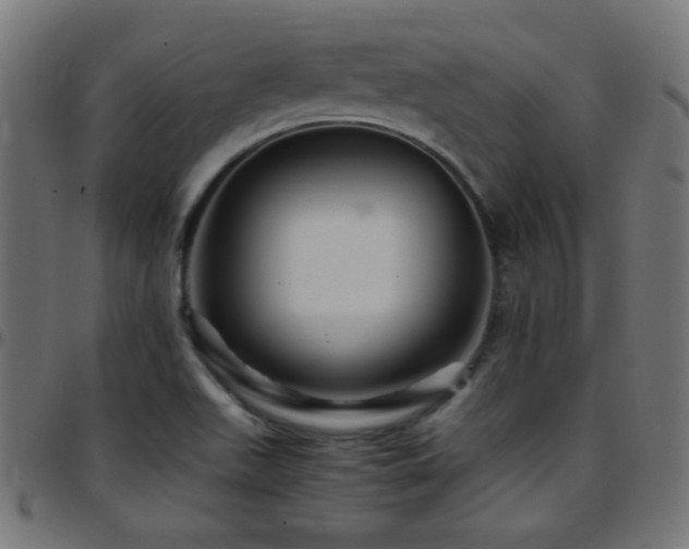 X0000097781511200803071338