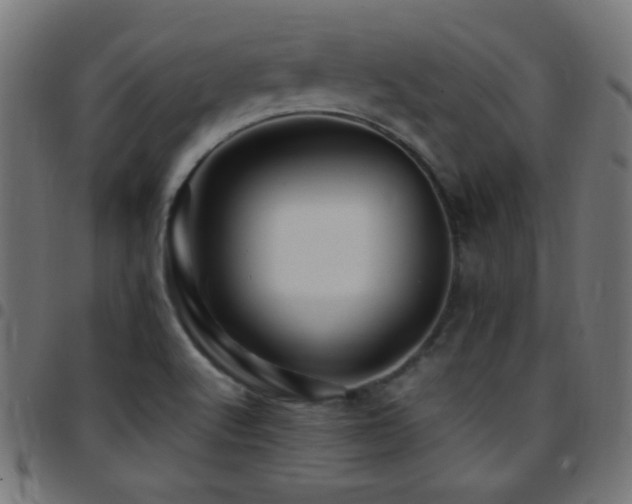 X0000097781512200803071338