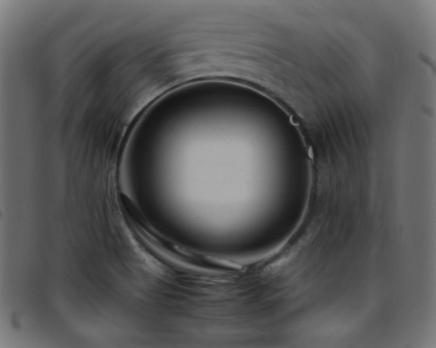 X0000097781513200803071338