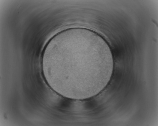 X0000097781514200803071338