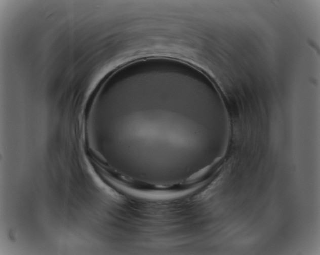 X0000097781515200803071338