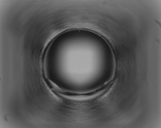 X0000097781517200803071338