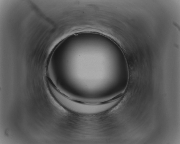 X0000097781518200803071338