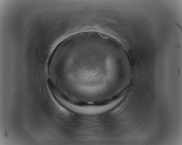 X0000097781519200803071338