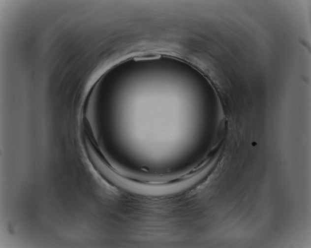 X0000097781520200803071338