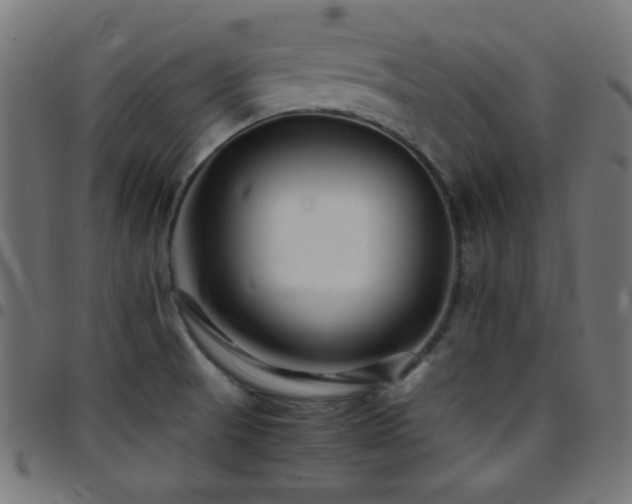 X0000097781521200803071338