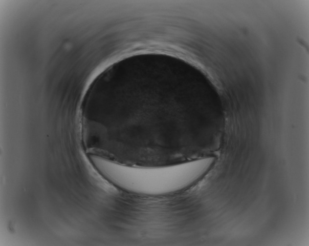 X0000097781522200803071338